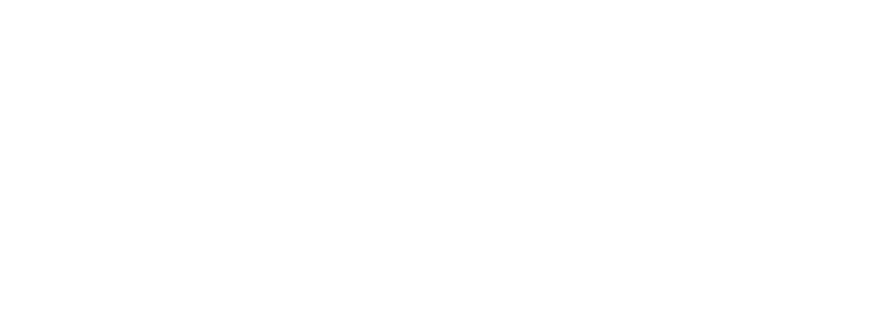 Brickflow-logo-white